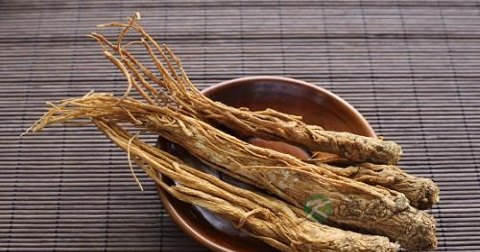当归怎样外用 当归怎样外用