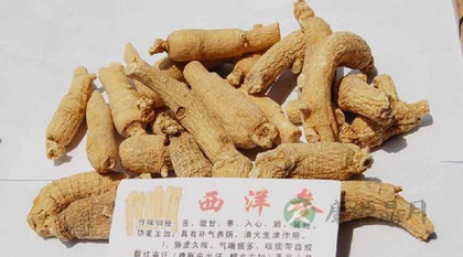 冠心病人能吃西洋参吗 冠心病人能吃西洋参吗