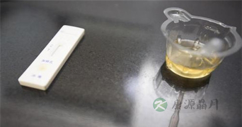 痛风可以吃冬虫夏草吗 痛风可以吃冬虫夏草吗