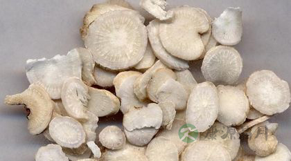 白芍能去斑吗_白芍去斑的方法 白芍能去斑吗_白芍去斑的方法