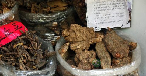 杜仲和玛卡可以一起泡酒吗 杜仲和玛卡可以一起泡酒吗