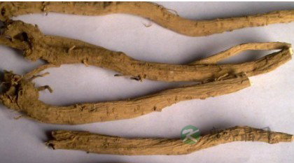 川牛膝与怀牛膝有哪些区别 川牛膝与怀牛膝有哪些区别