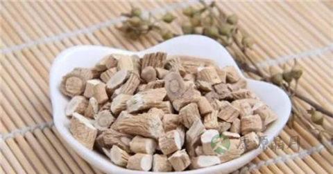 三七能治风湿关节炎吗 三七能治风湿关节炎吗