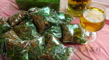辣木茶的制作方法 辣木茶的制作方法
