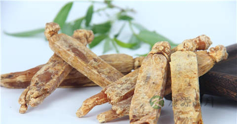 经期能喝高丽参吗 经期能喝高丽参吗