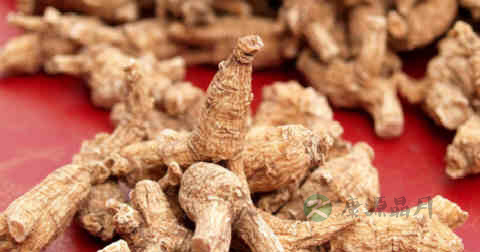 西洋参能提高性功能吗 西洋参能提高性功能吗
