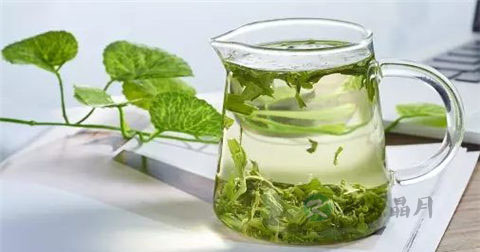 膀胱炎可以喝荷叶茶吗 膀胱炎可以喝荷叶茶吗