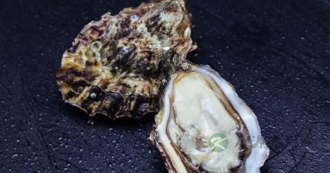 男人每天吃几个生蚝 男人每天吃几个生蚝