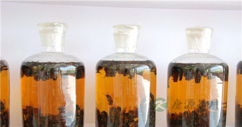 阳痿早泄药酒有哪些 阳痿早泄药酒有哪些
