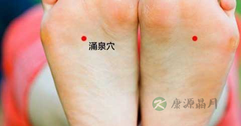 肾虚食疗 肾虚食疗