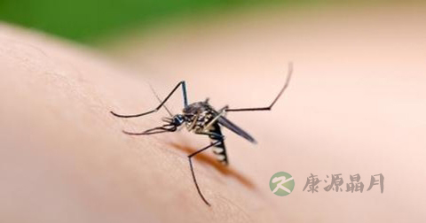 感染寨卡病毒后多久可怀孕 感染寨卡病毒后多久可怀孕