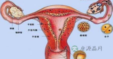 子宫检查什么时候最好 子宫检查什么时候最好