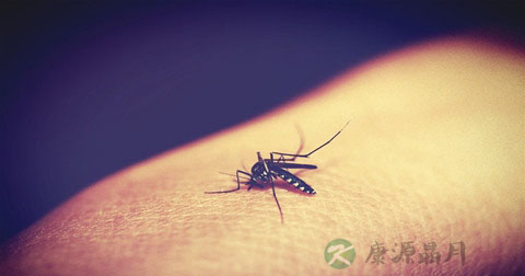 感染寨卡病毒后多久可怀孕 感染寨卡病毒后多久可怀孕