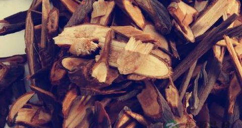 桂枝是安胎的吗 桂枝是安胎的吗