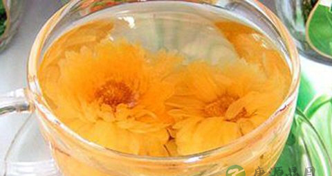 孕妇可以喝金莲花茶吗 孕妇可以喝金莲花茶吗