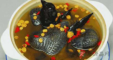 乌鸡汤会高血脂吗 乌鸡汤会高血脂吗