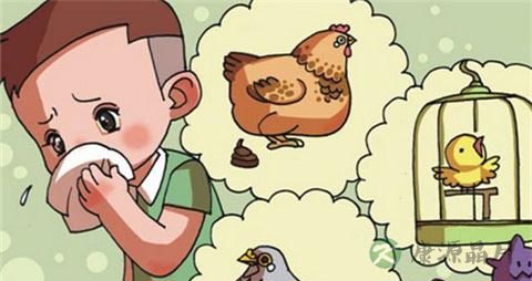 禽流感的高危人群 禽流感的高危人群