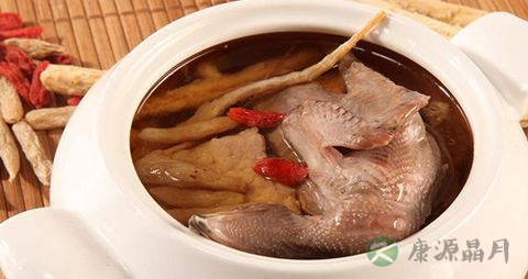 慢性肝炎可以吃鸽子吗 慢性肝炎可以吃鸽子吗