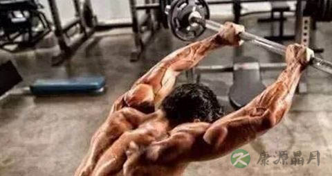 上半身肌肉怎么锻炼 上半身肌肉怎么锻炼