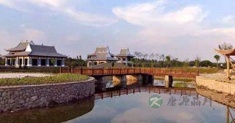 打太极拳穿什么鞋 打太极拳穿什么鞋