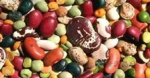 怎么样减小腿的肌肉 怎么样减小腿的肌肉