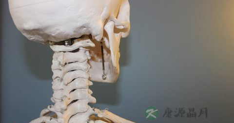 哪些舞蹈动作预防颈椎腰椎病 哪些舞蹈动作预防颈椎腰椎病