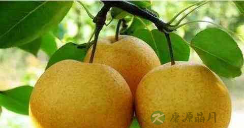 慢性咽炎去哪个科 慢性咽炎去哪个科