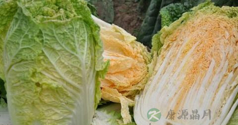 食物中毒看什么科室 食物中毒看什么科室