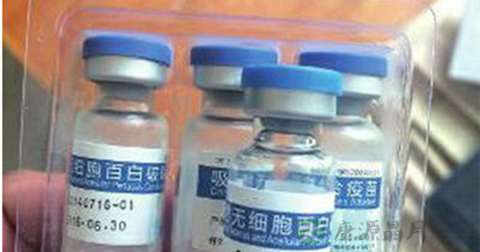 什么是白破疫苗 什么是白破疫苗