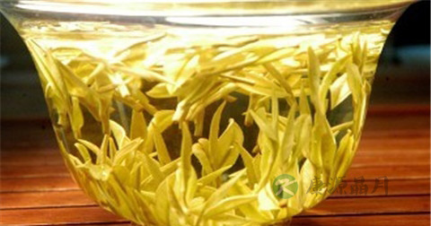 嘴巴长泡用什么药 嘴巴长泡用什么药
