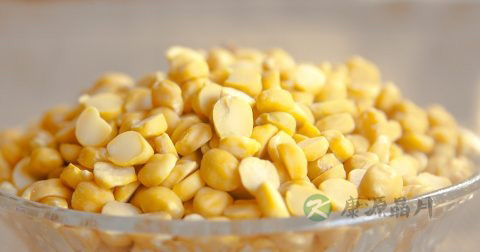 热毒用什么药好 热毒用什么药好