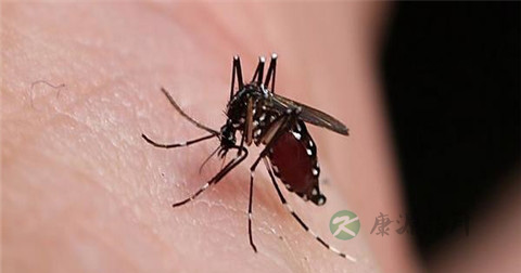 打乙脑疫苗注意事项 打乙脑疫苗注意事项