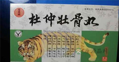杜仲壮骨丸说明书 杜仲壮骨丸说明书