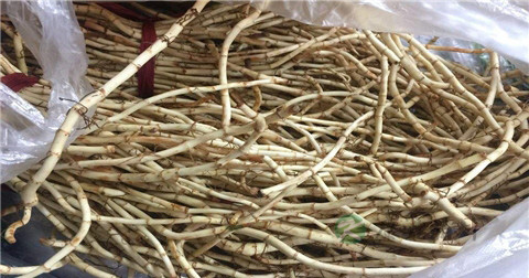 淋巴结肿大用什么药好 淋巴结肿大用什么药好