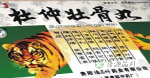 杜仲壮骨丸说明书 杜仲壮骨丸说明书