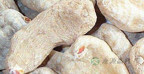 天麻饮片真假鉴别方法 天麻饮片真假鉴别方法