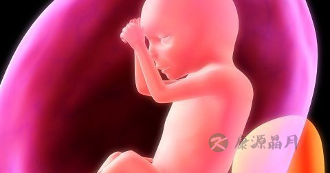 预防甲状腺吃什么好 预防甲状腺吃什么好