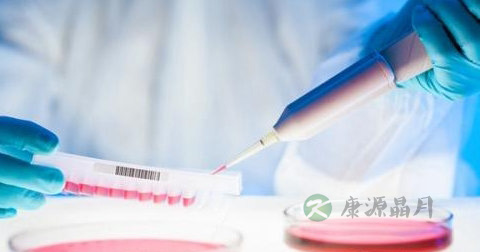 总蛋白偏低的原因是什么 总蛋白偏低的原因是什么