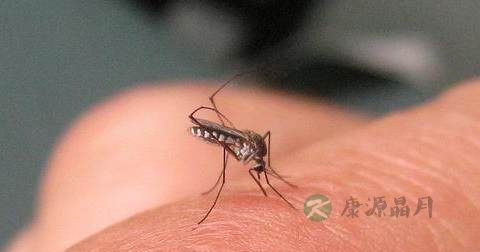 登革热红疹症状怎么治 登革热红疹症状怎么治