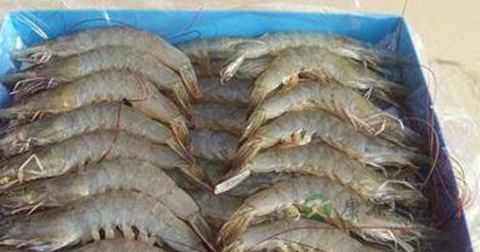 白癜风吃什么好 白癜风吃什么好