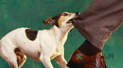 狂犬病会传染吗 狂犬病会传染吗