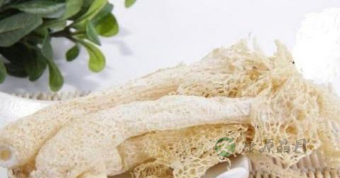 骨折可以吃菌类吗 骨折可以吃菌类吗