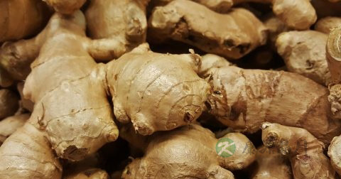 胃痛吃什么好 胃痛吃什么好