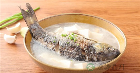 呃逆用什么药 呃逆用什么药