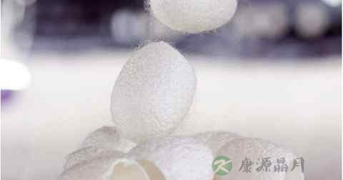 蚕茧怎么处理 蚕茧怎么处理