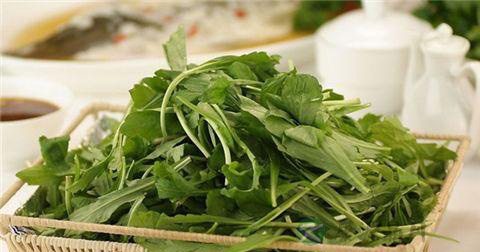 吃野菜中毒怎么办 吃野菜中毒怎么办