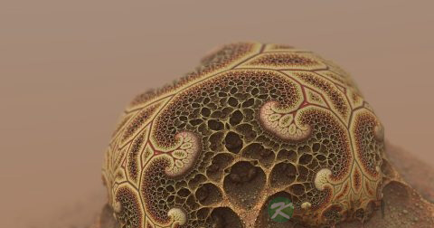 哪些微生物以异糖酸为食 哪些微生物以异糖酸为食