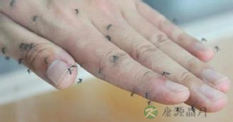手上细菌的危害 手上细菌的危害