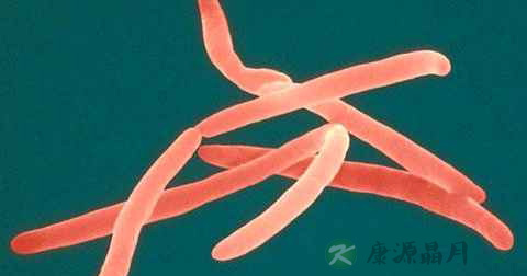 肉毒杆菌潜伏期 肉毒杆菌潜伏期