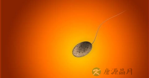 精子SP10蛋白检测试剂怎么用 精子SP10蛋白检测试剂怎么用